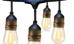 Bistro Lights (20 FT)